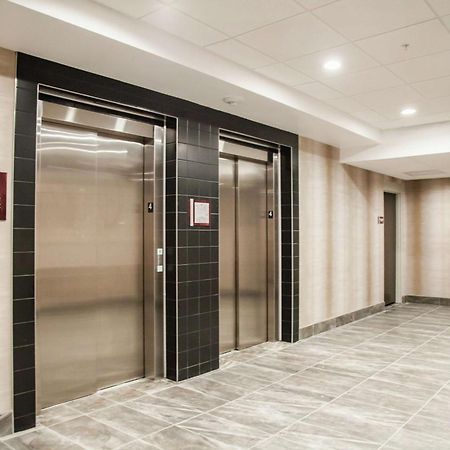 Hilton Garden Inn Tampa Suncoast Parkway Луц Екстериор снимка