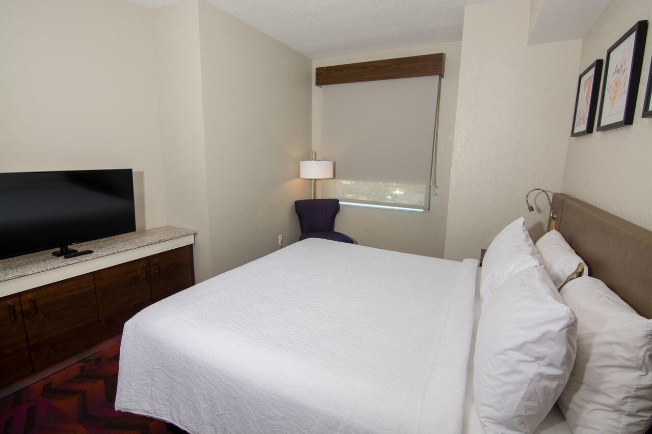 Hilton Garden Inn Tampa Suncoast Parkway Луц Екстериор снимка