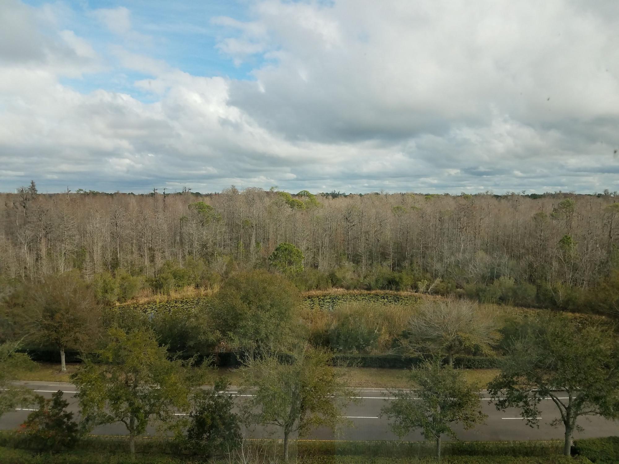 Hilton Garden Inn Tampa Suncoast Parkway Луц Екстериор снимка