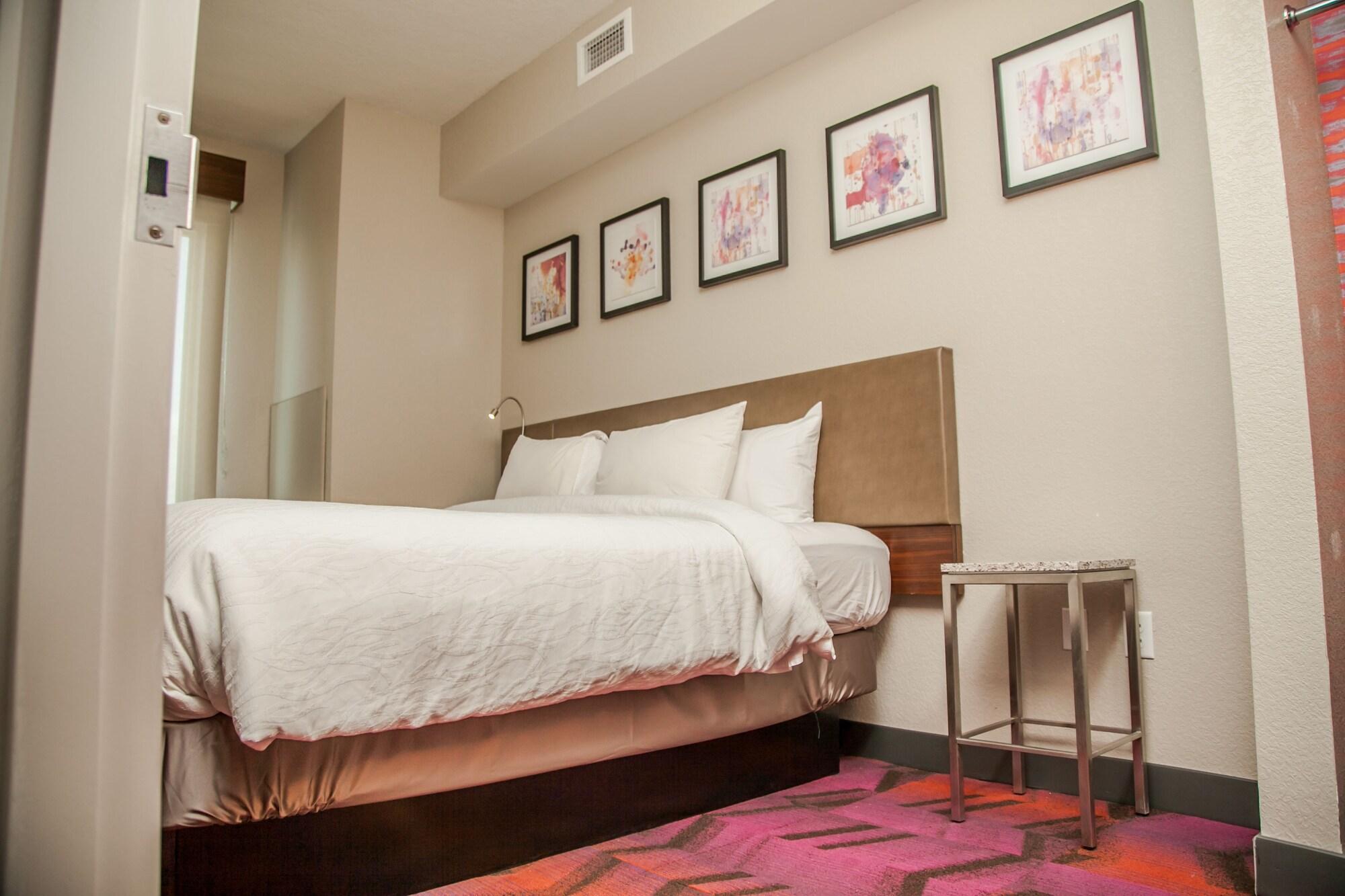 Hilton Garden Inn Tampa Suncoast Parkway Луц Екстериор снимка