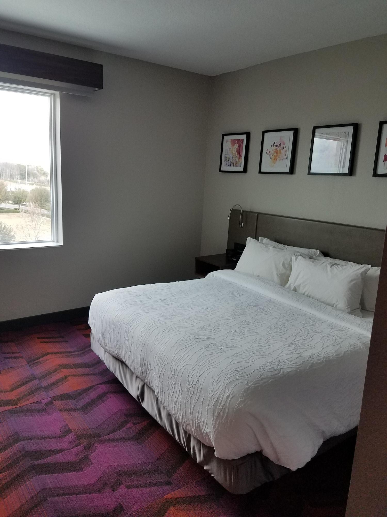 Hilton Garden Inn Tampa Suncoast Parkway Луц Екстериор снимка