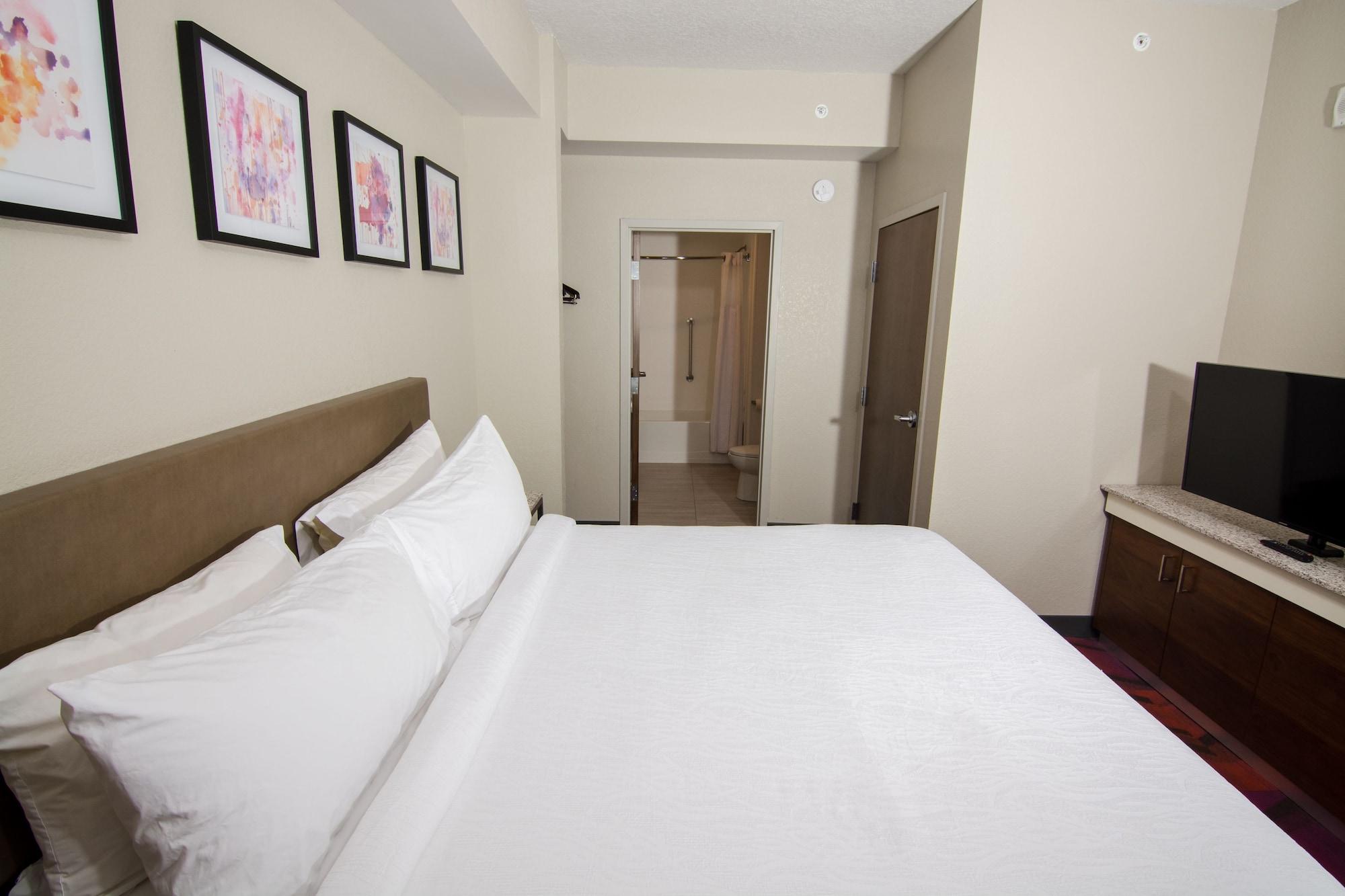 Hilton Garden Inn Tampa Suncoast Parkway Луц Екстериор снимка