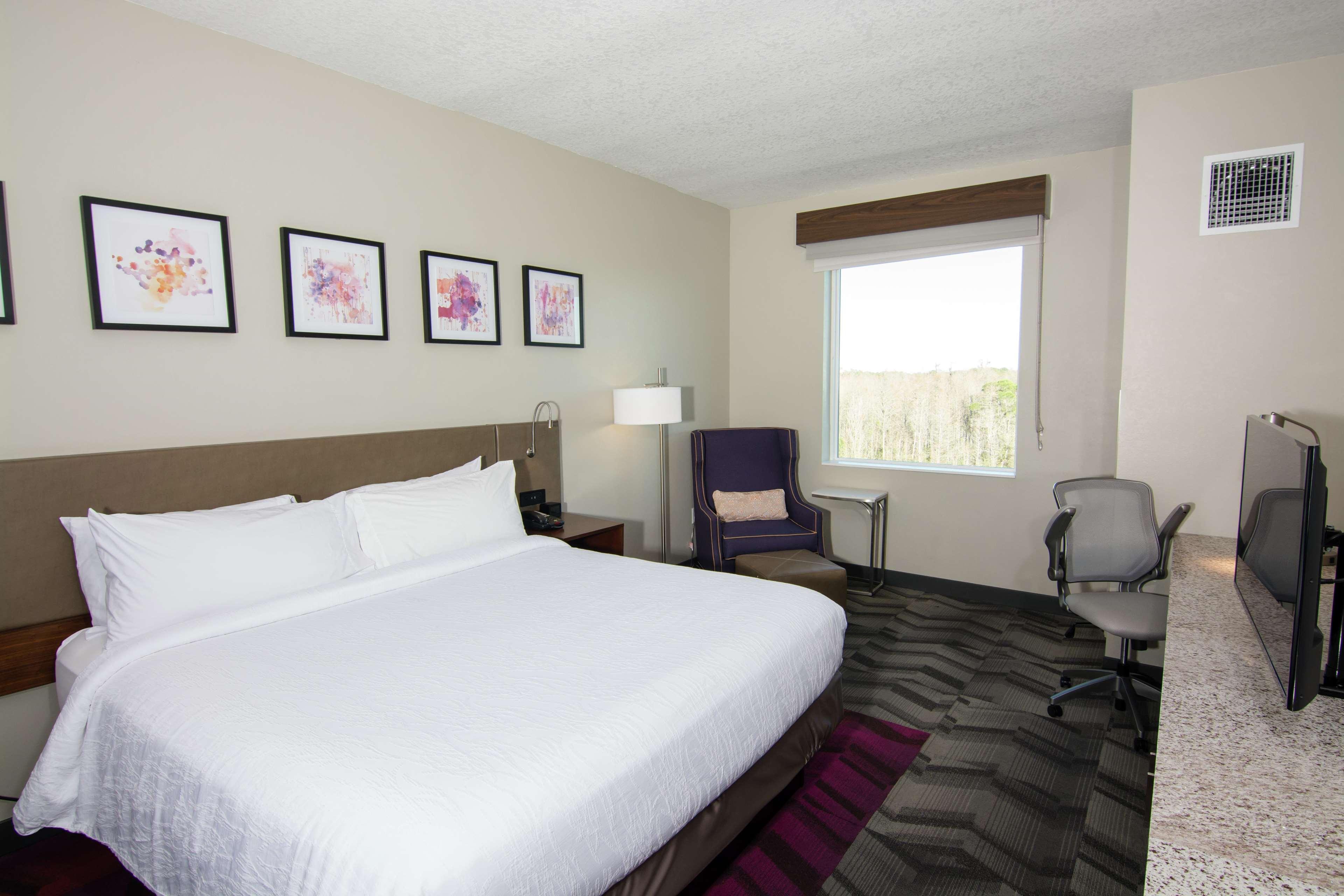 Hilton Garden Inn Tampa Suncoast Parkway Луц Екстериор снимка