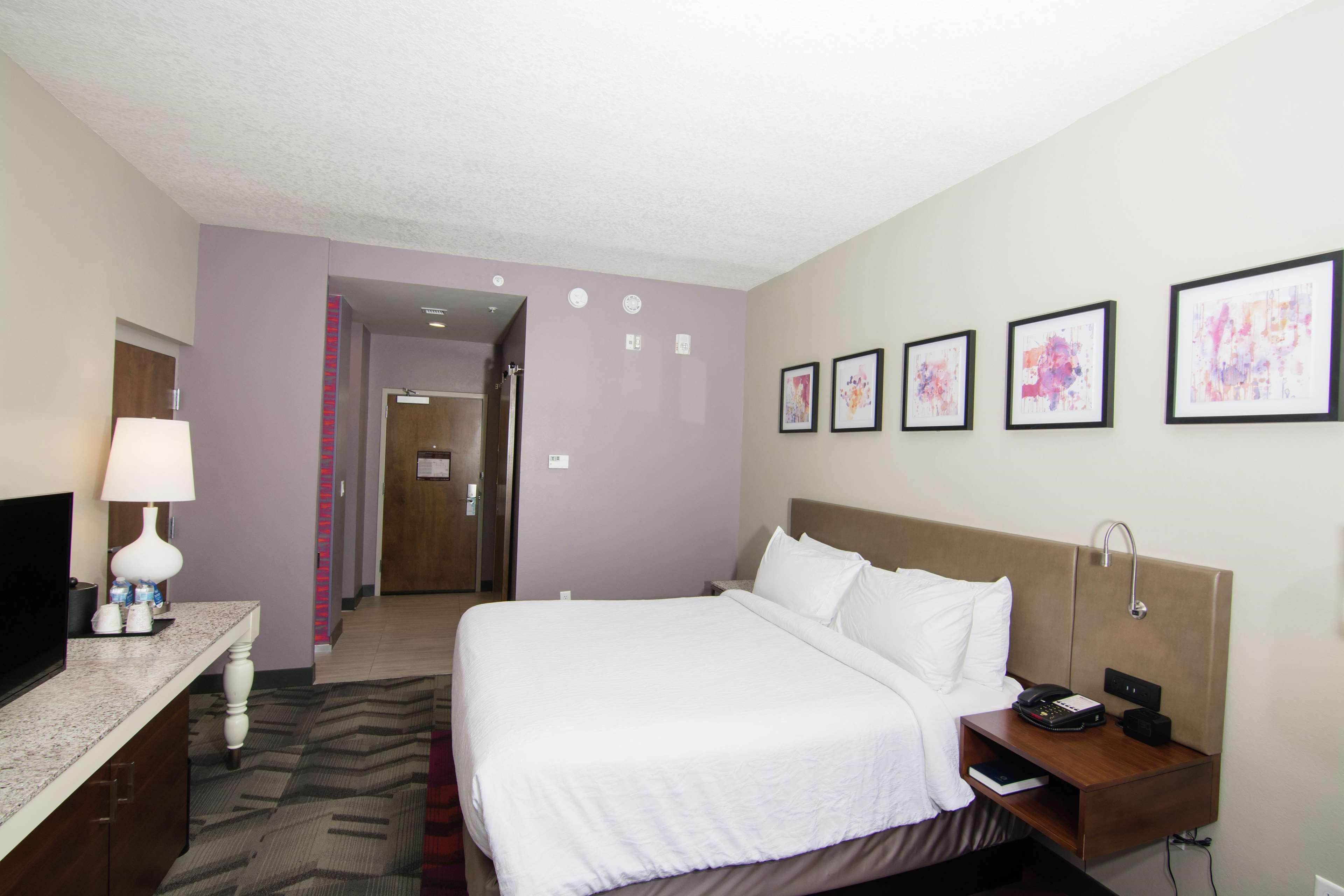 Hilton Garden Inn Tampa Suncoast Parkway Луц Екстериор снимка