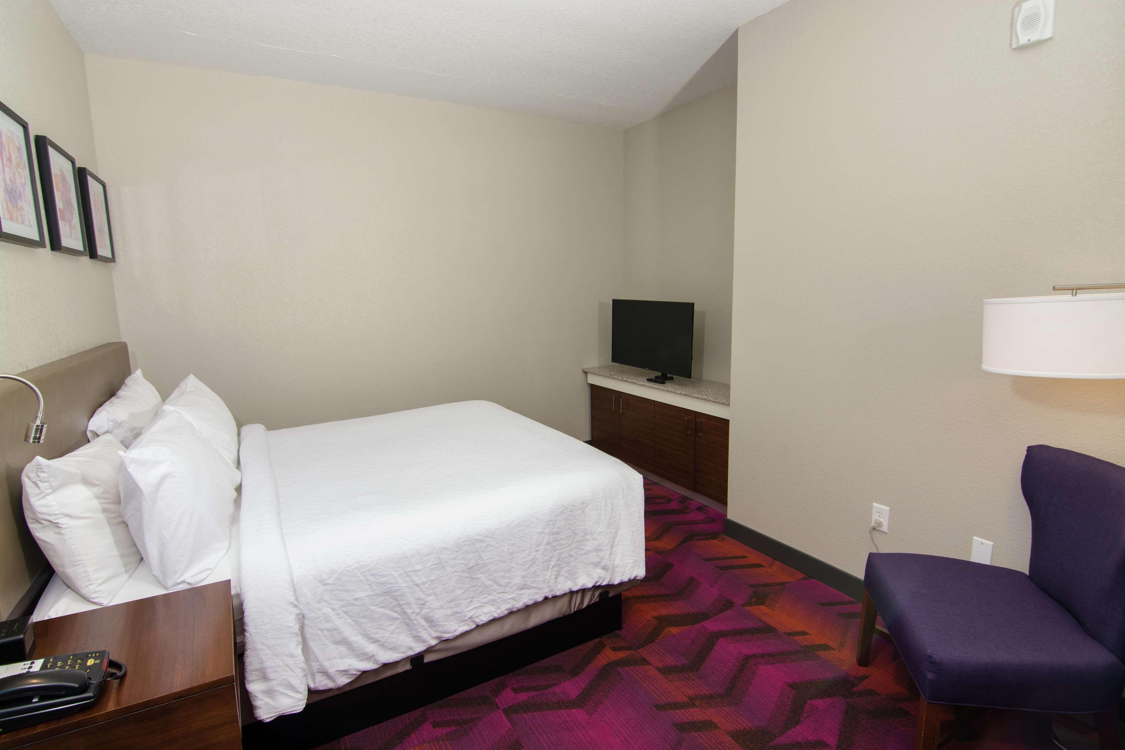 Hilton Garden Inn Tampa Suncoast Parkway Луц Екстериор снимка
