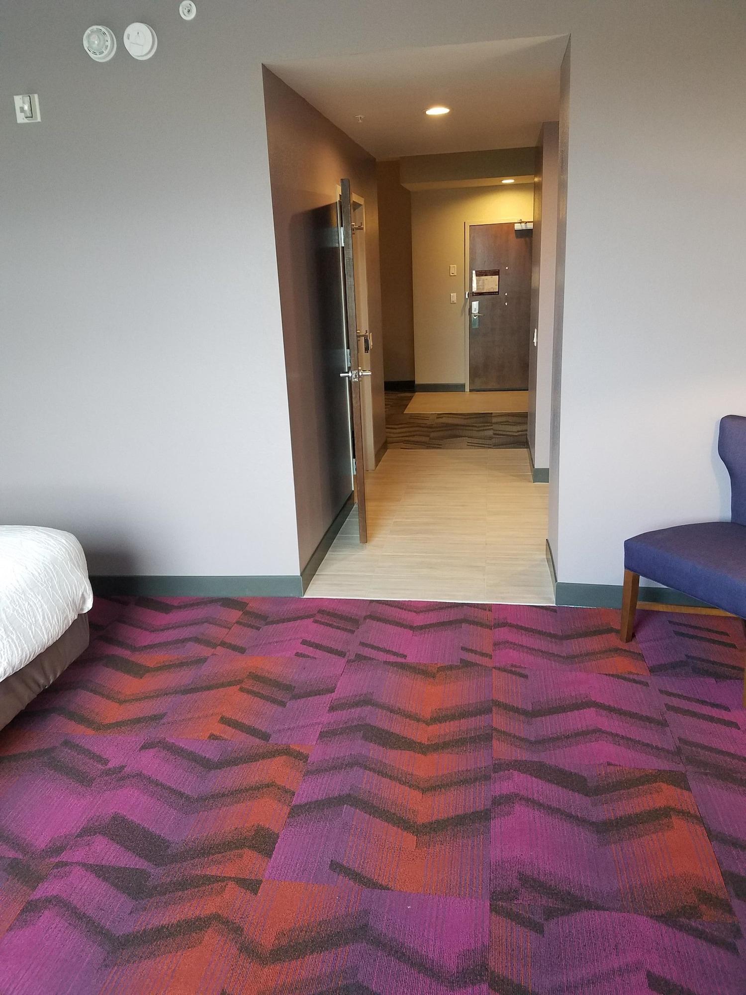 Hilton Garden Inn Tampa Suncoast Parkway Луц Екстериор снимка
