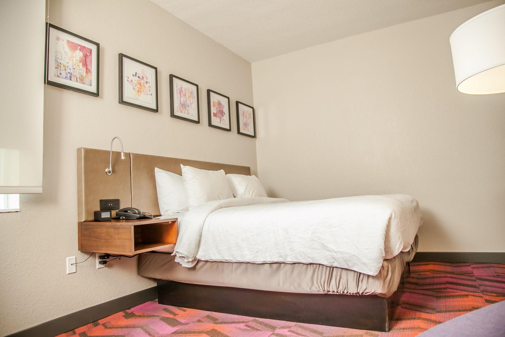 Hilton Garden Inn Tampa Suncoast Parkway Луц Екстериор снимка