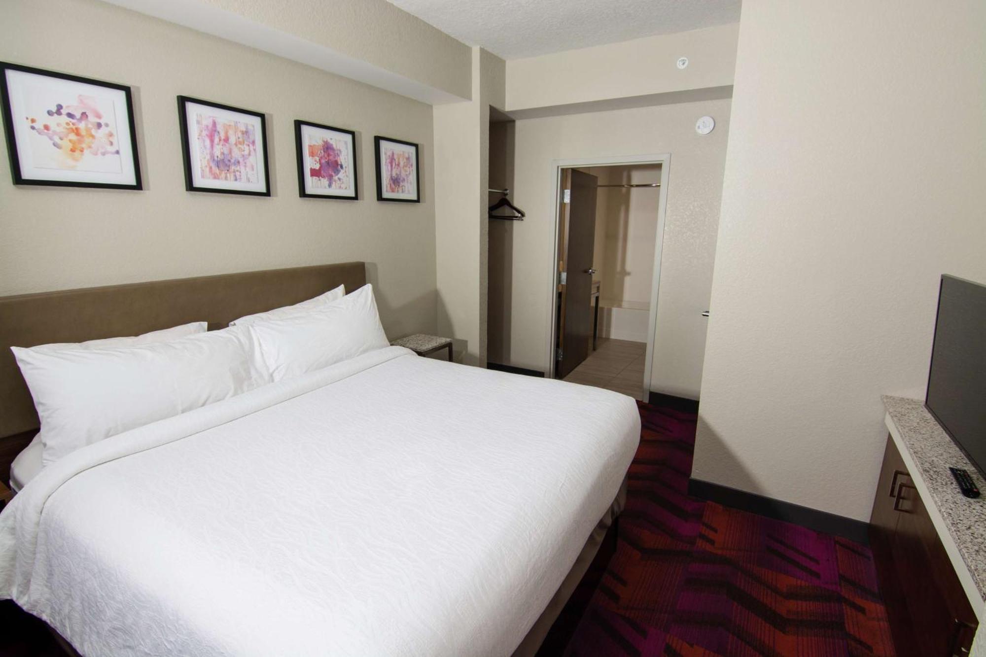 Hilton Garden Inn Tampa Suncoast Parkway Луц Екстериор снимка