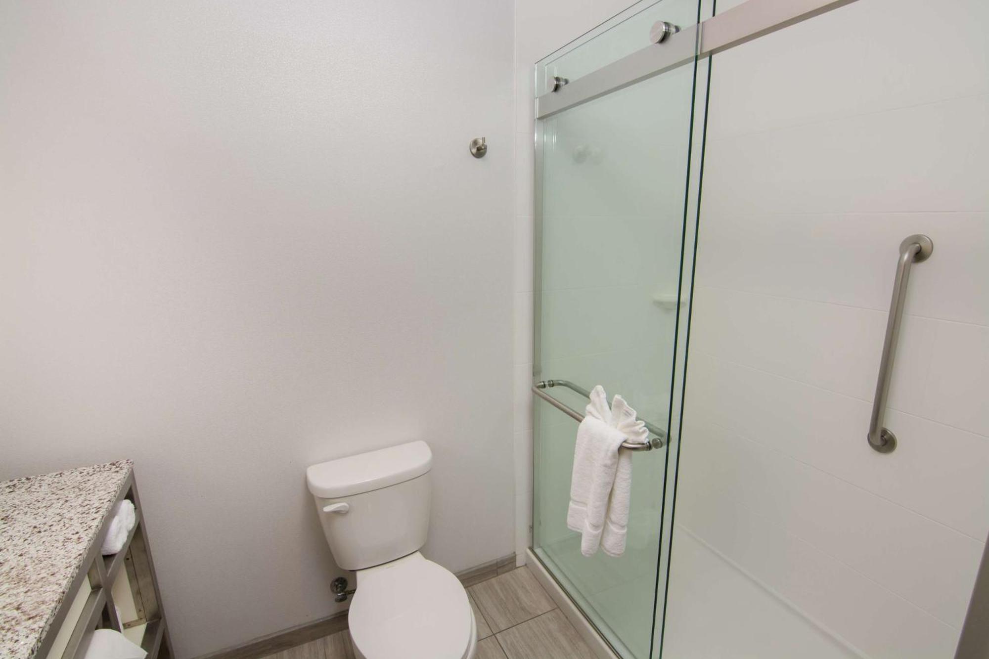 Hilton Garden Inn Tampa Suncoast Parkway Луц Екстериор снимка