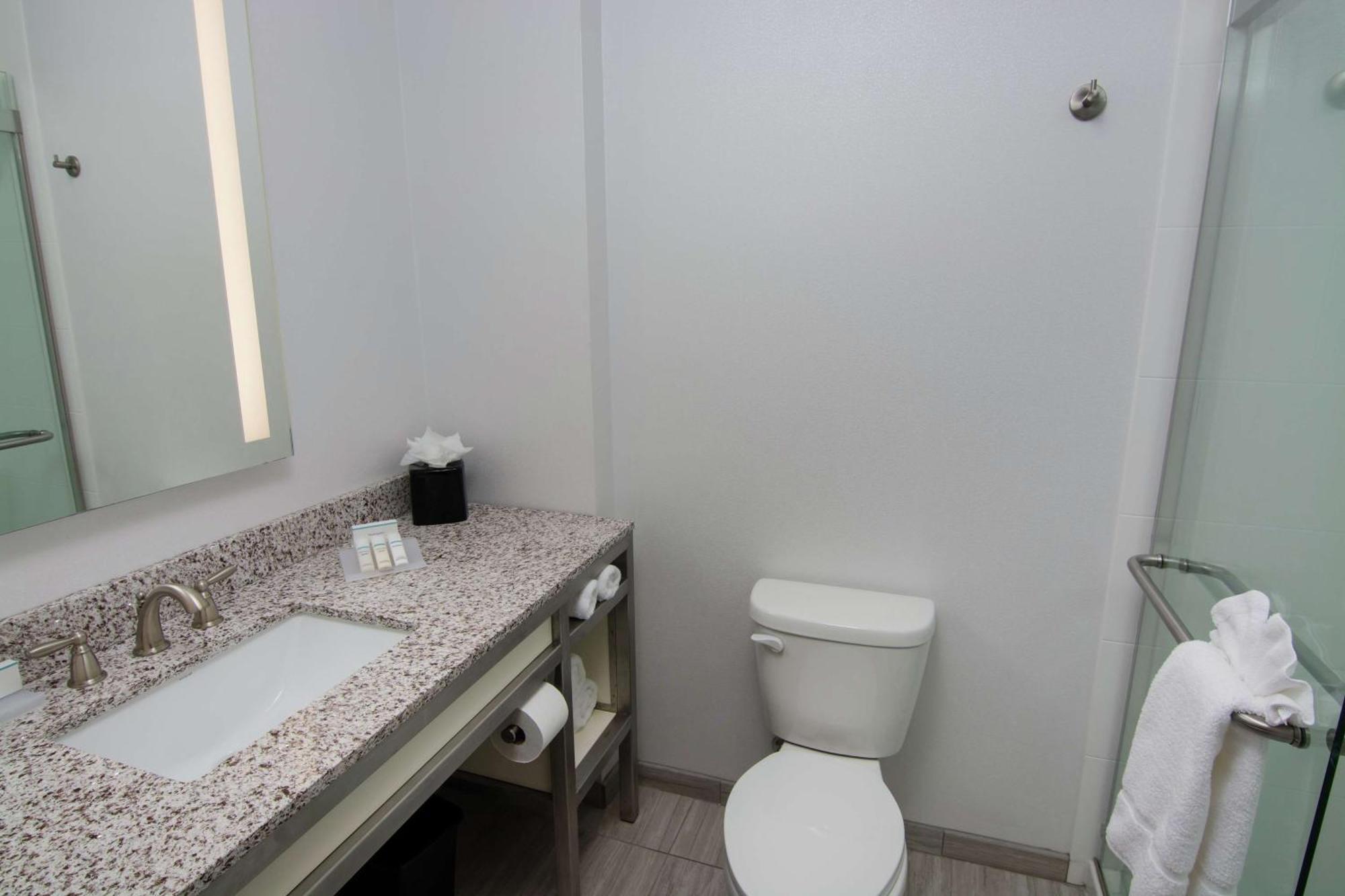 Hilton Garden Inn Tampa Suncoast Parkway Луц Екстериор снимка