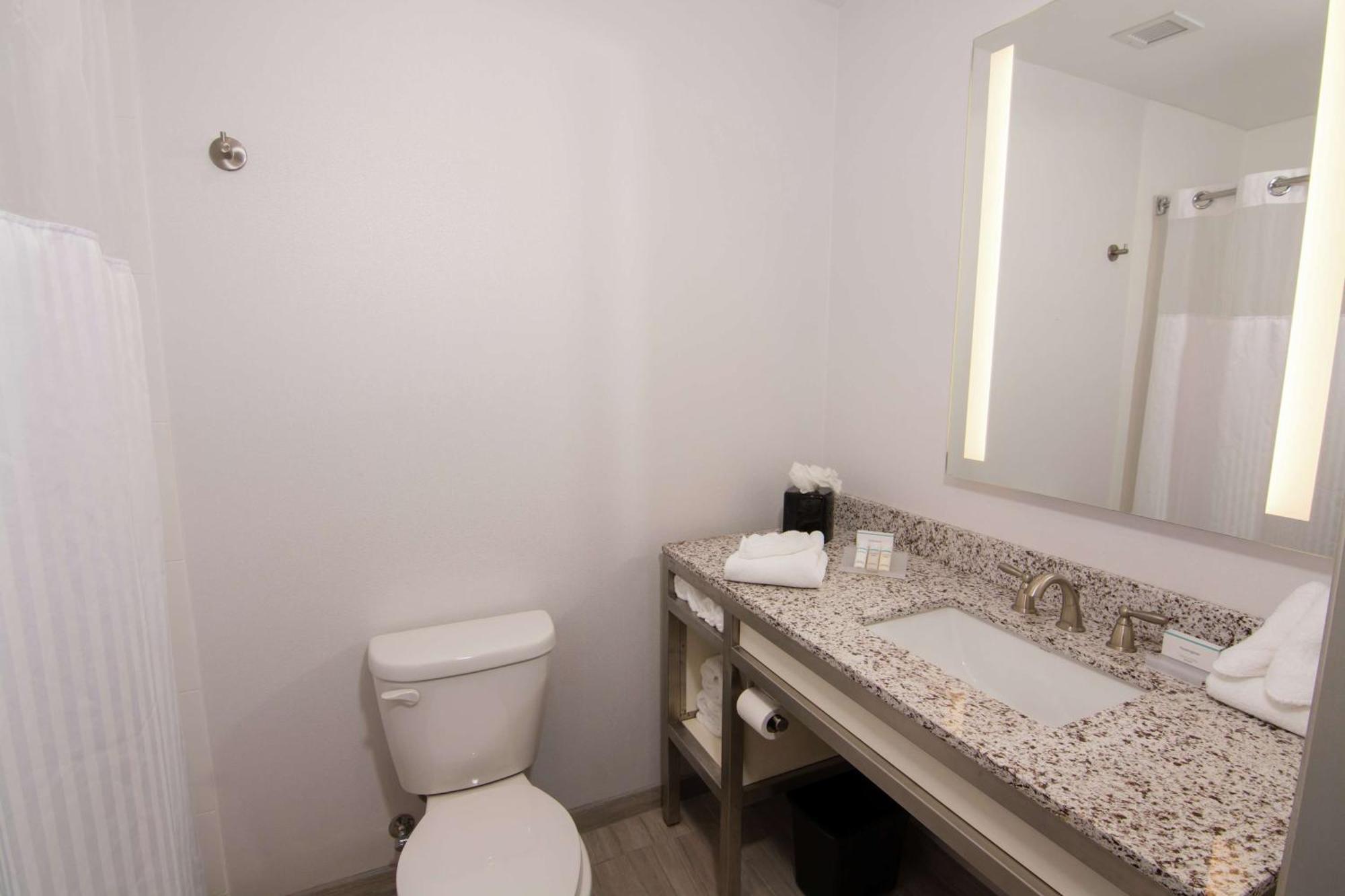 Hilton Garden Inn Tampa Suncoast Parkway Луц Екстериор снимка