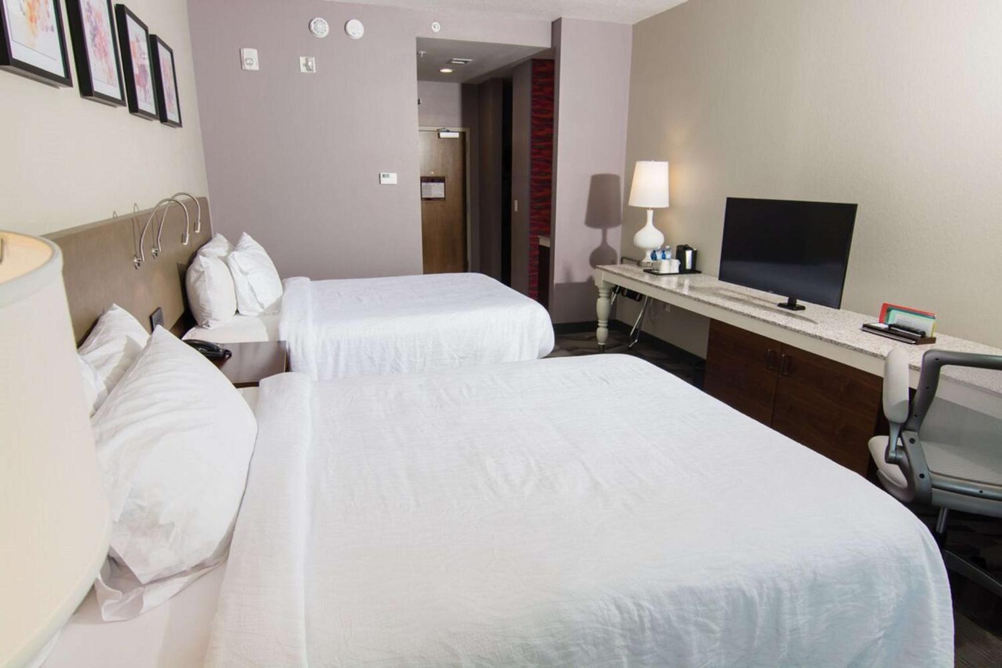 Hilton Garden Inn Tampa Suncoast Parkway Луц Екстериор снимка