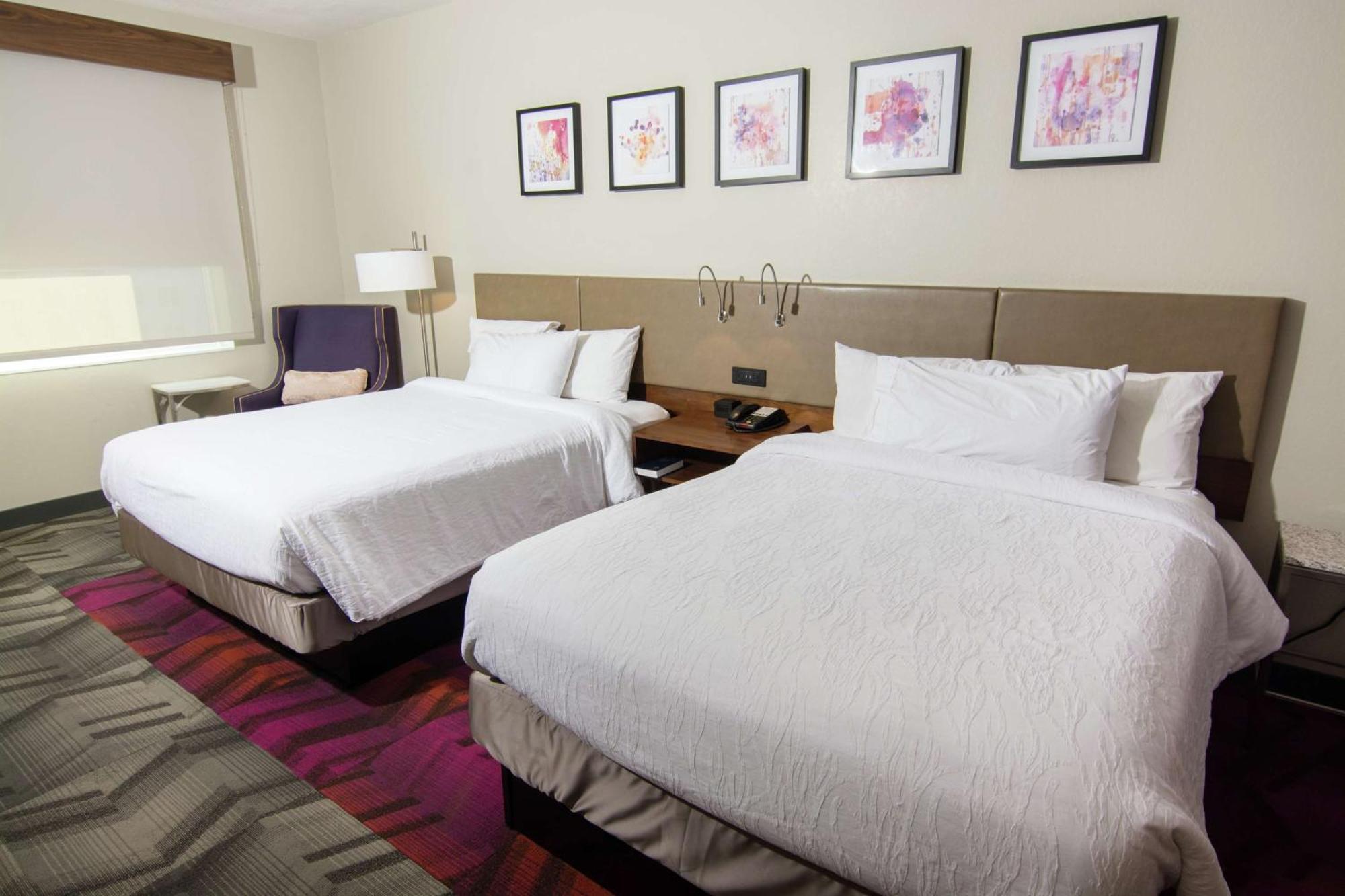 Hilton Garden Inn Tampa Suncoast Parkway Луц Екстериор снимка